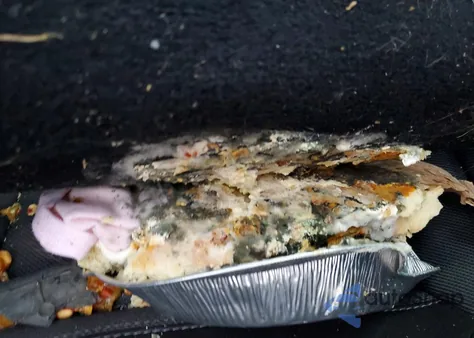 2020 Dodge Charger Sxt z USA, uszkodzony, nr VIN 2C3CDXBGXLH208833